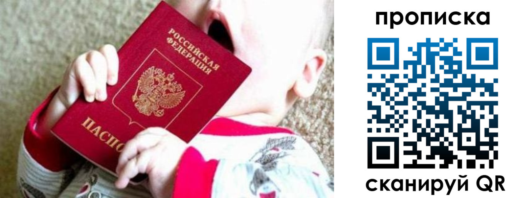прописка законно в Ногинске
